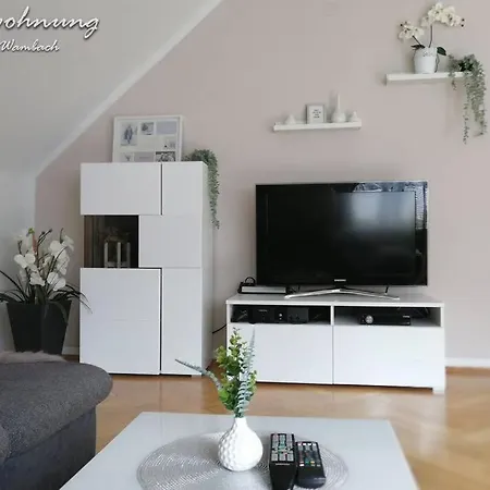 Apartamento Schoene 4-zimmerwohnung, Bei Wiesbaden/mainz/ffm Schlangenbad