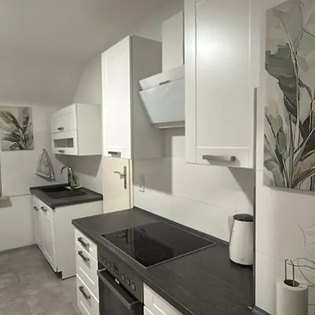 Schoene 4-zimmerwohnung, Bei Wiesbaden/mainz/ffm Apartamento Schlangenbad